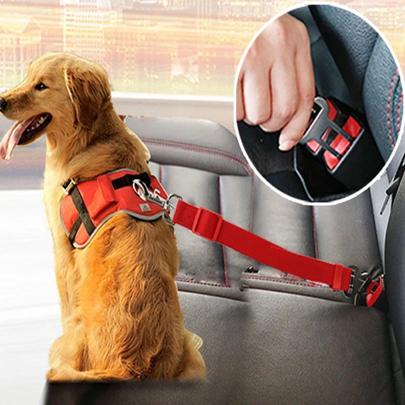 Adjustable Pet Car Seat Belt – Secure & Tangle-Free