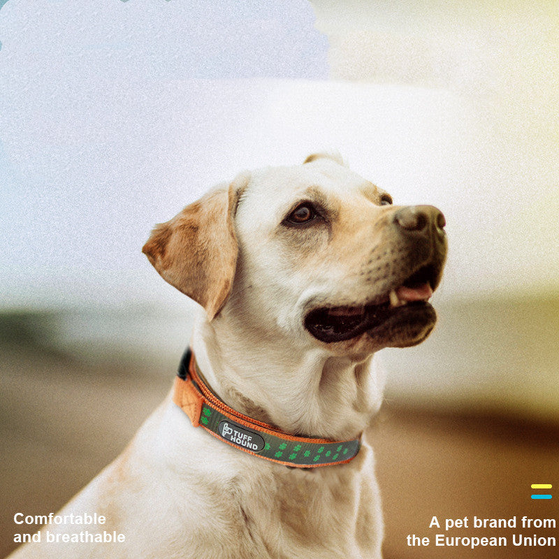 Reflective Dog Collar