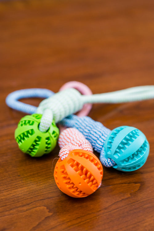 Tough Chew Toy for Strong Jaws